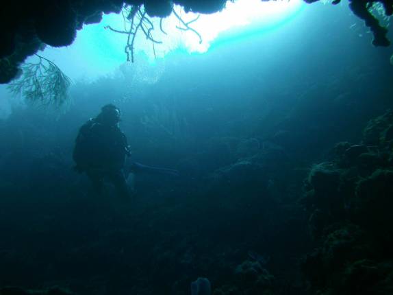 Explorando fenda submarina no Randy's Gazeboo, em Little Cayman, nas Ilhas Caiman